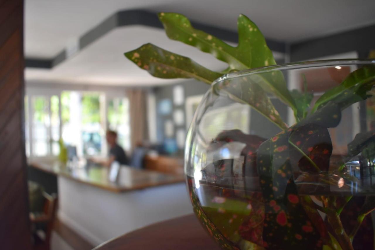 Hibiscus Center Hotel Búzios Екстериор снимка